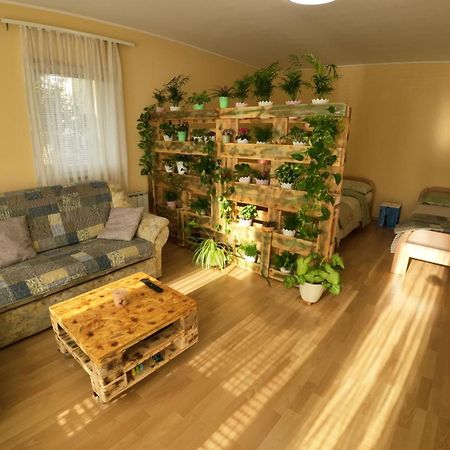 Sweet Home Apartment Maribor Eksteriør billede